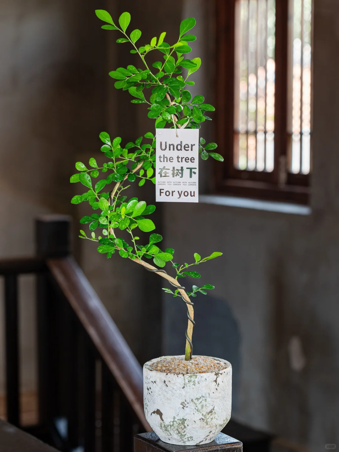 生命真是奇妙又美好的?