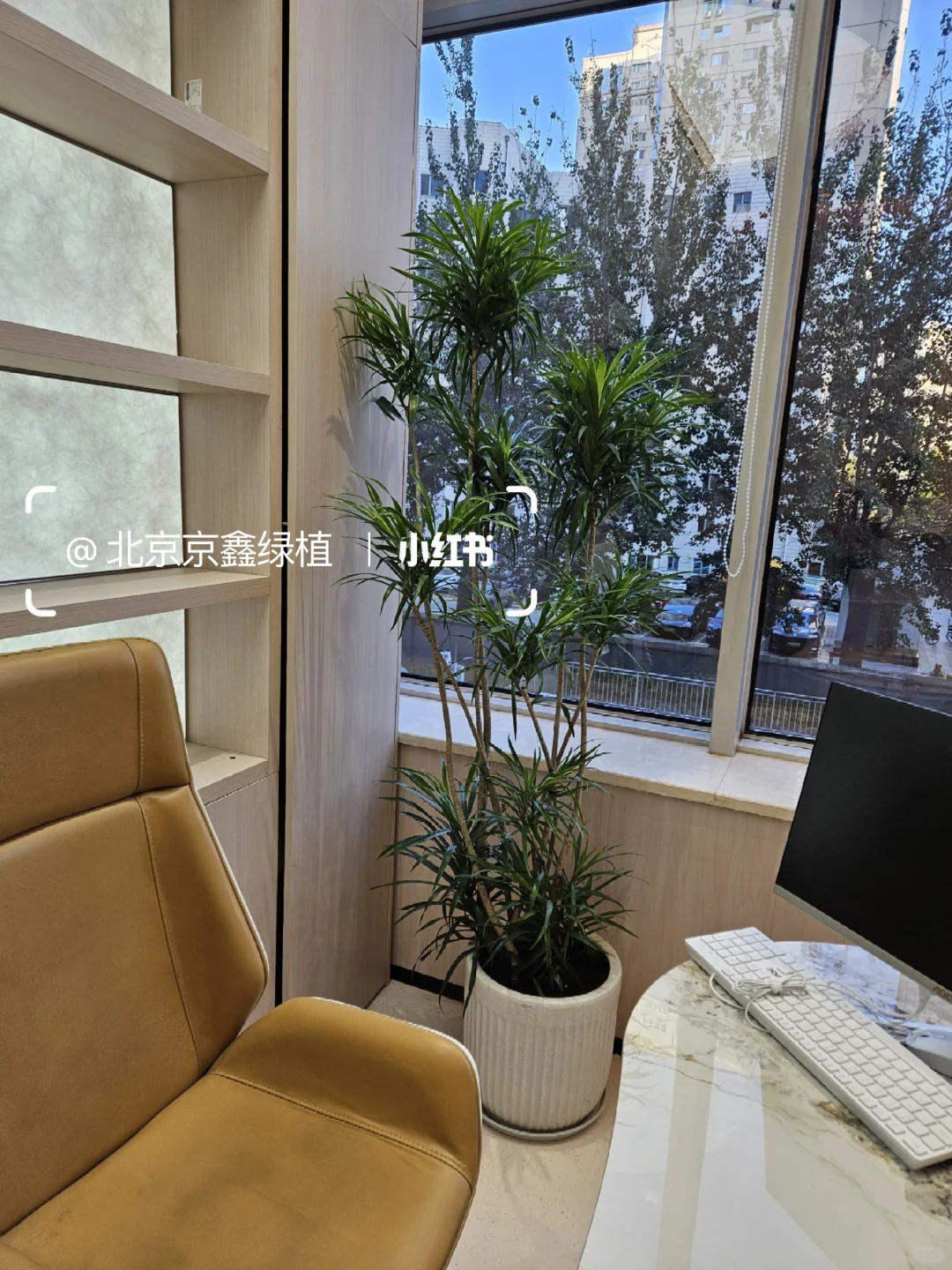 ?北京绿植租赁，绿植造景，绿植租摆