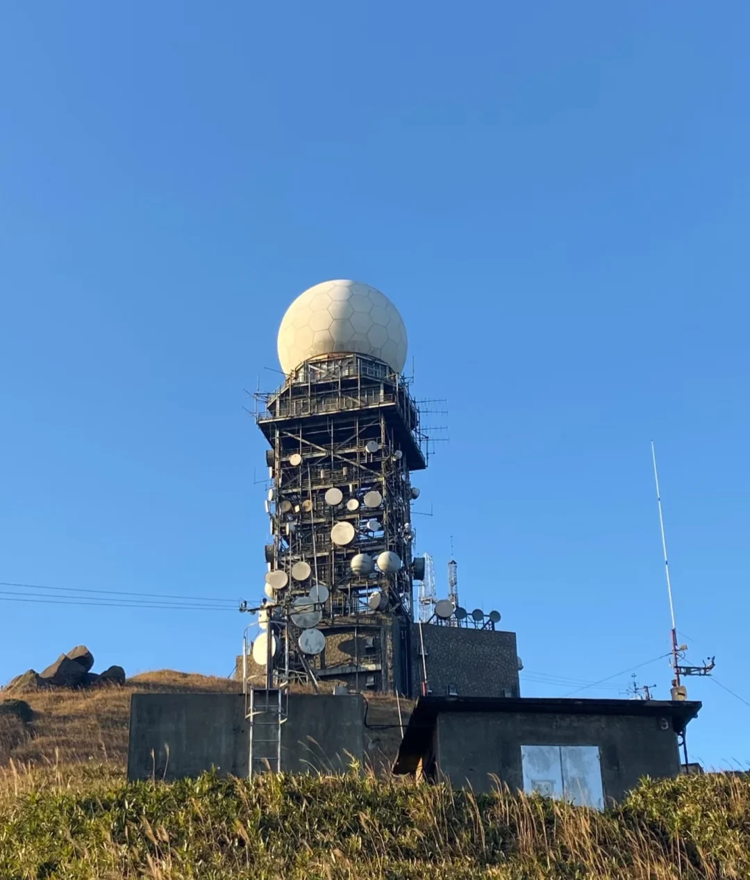 香港大帽山 周日11月23日