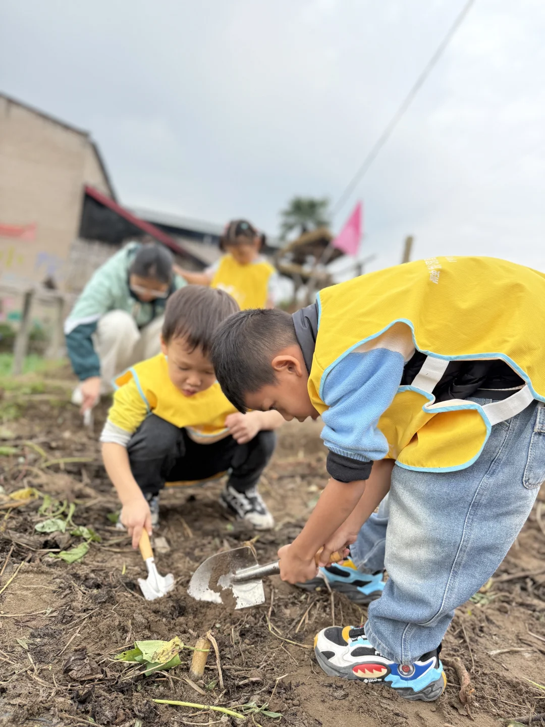 亲子游 | 巴南中坝岛 蔬菜采摘