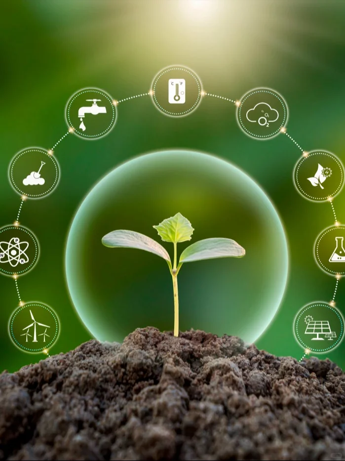 土壤的力量——圣洁青蛙土壤消毒修复剂