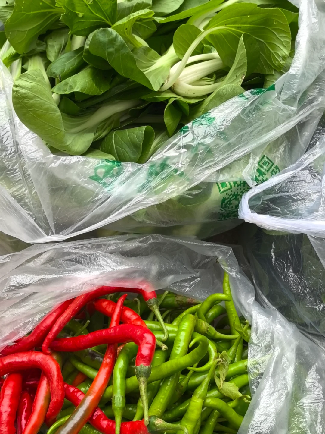 我妈当我来进货呢，?收货新鲜的蔬菜！