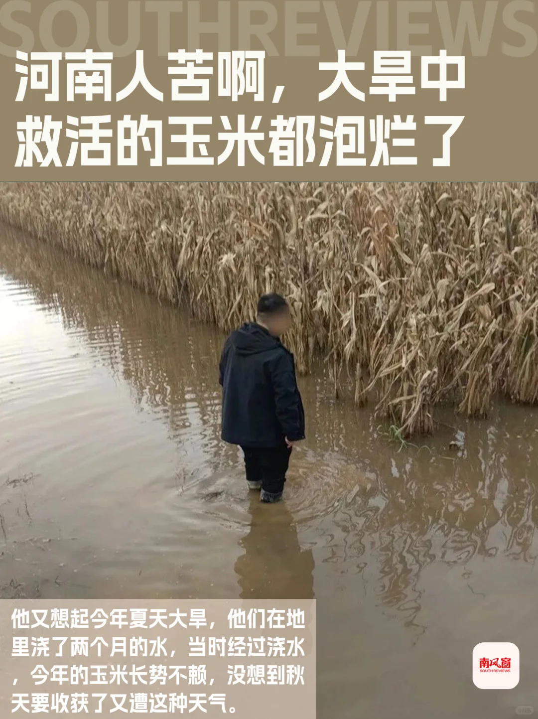 河南农民太苦了,刚经历罕见干旱又遭遇秋涝