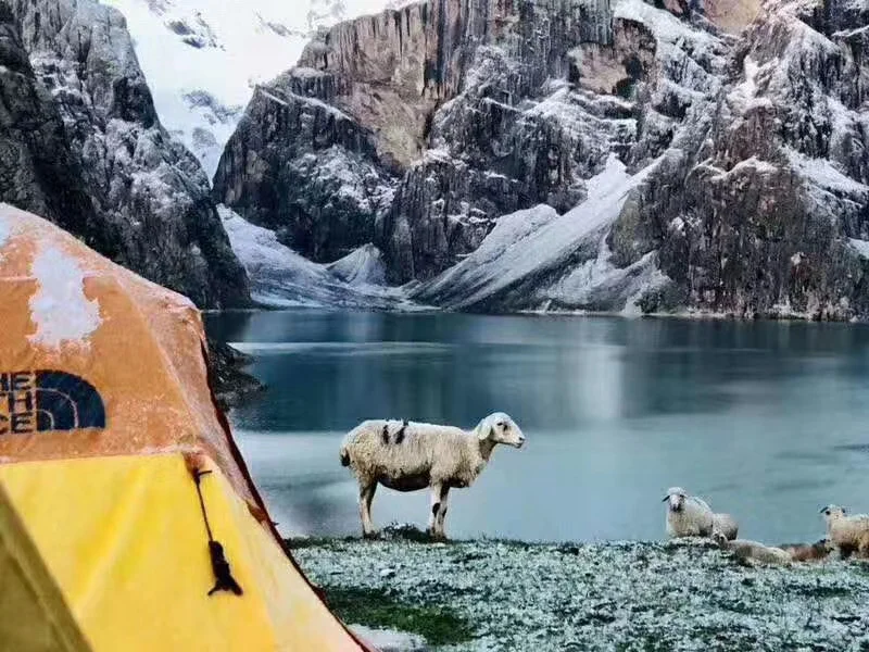 源自大美草原的馈赠 | 天然牧养牛羊肉