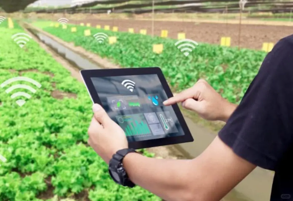 AI模型训练师?，农业智能的幕后推手?