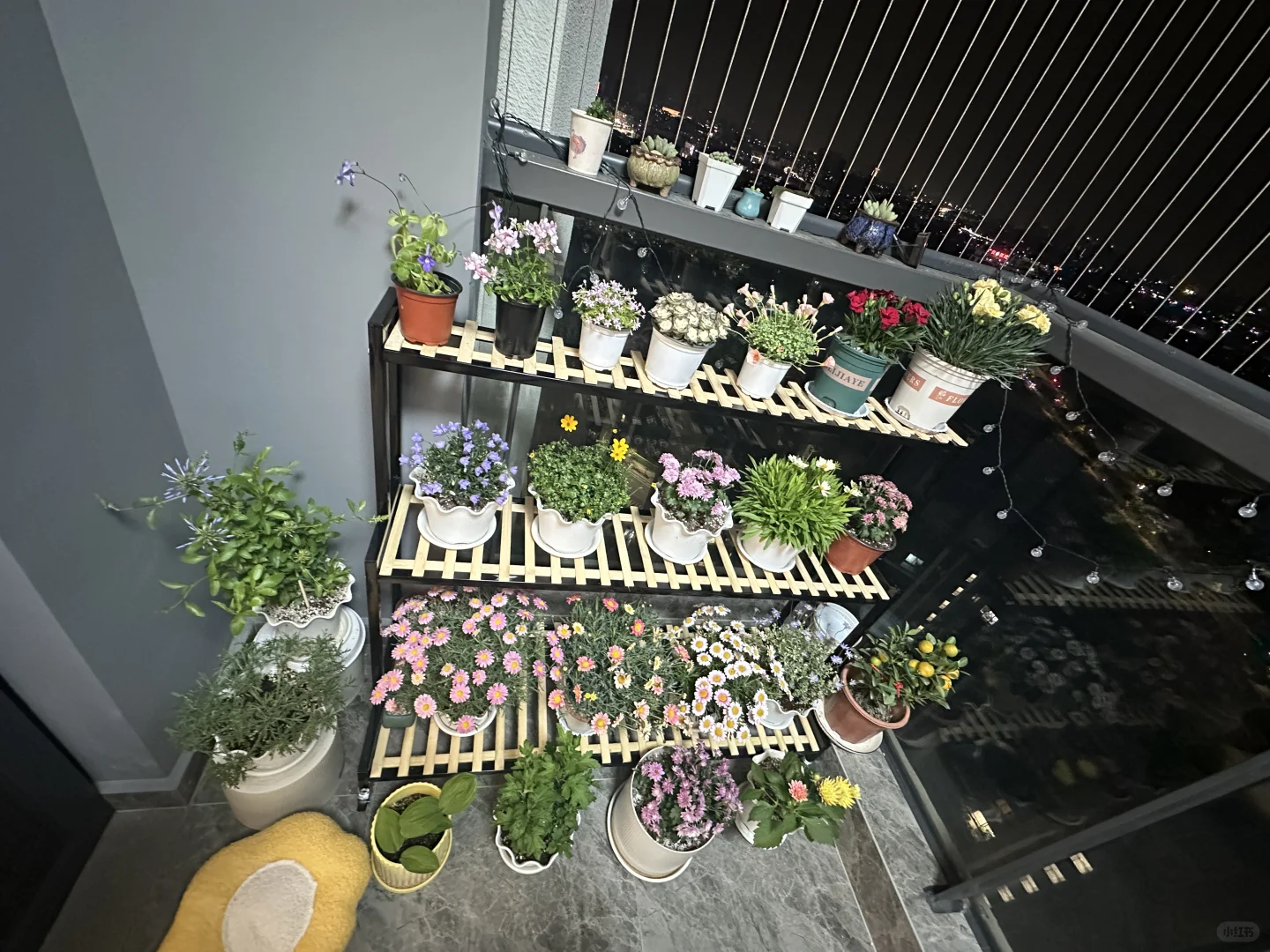 已经两天没阳光了?