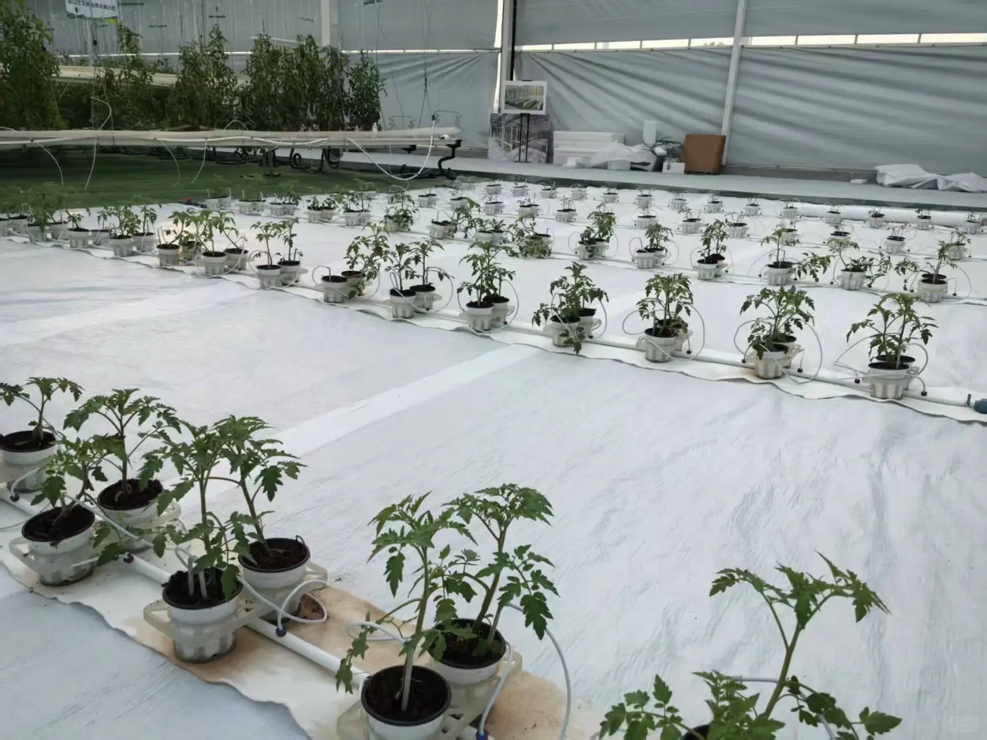 人人都会种,人人种的起