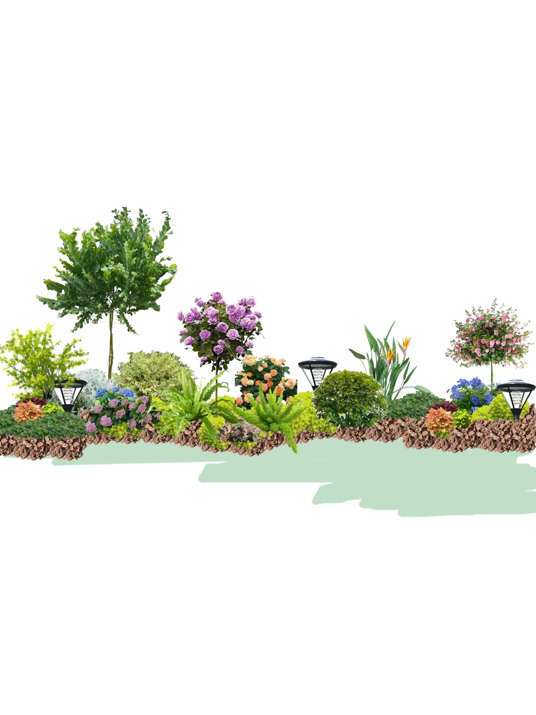 好养活低成本花境~附植物清单