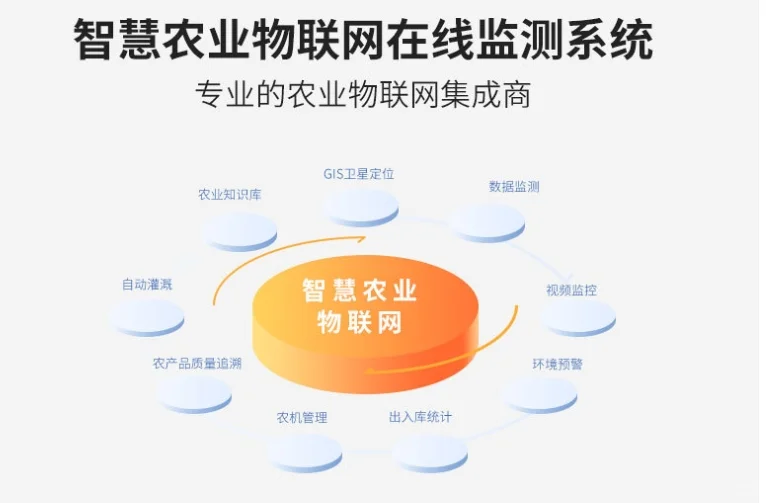 “数字赋能 乡村振兴”全面推进农业现代化