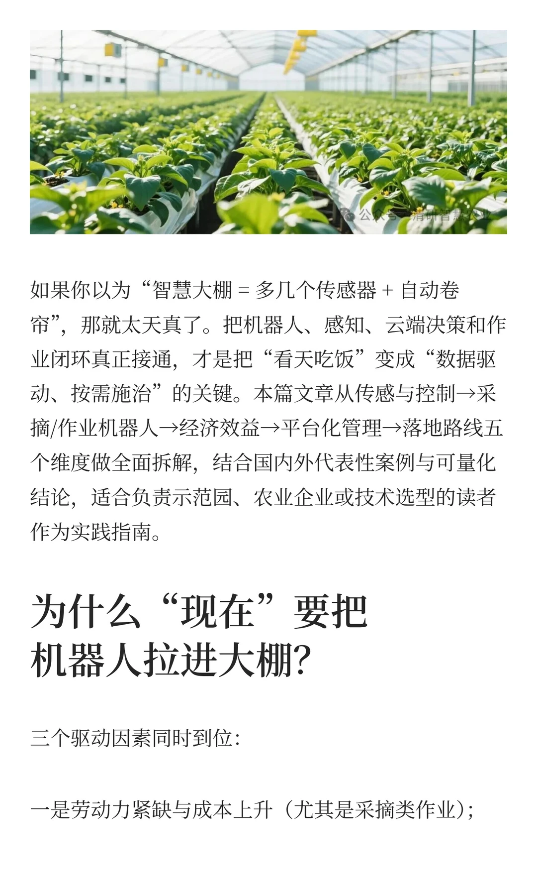 机器人进大棚：设施农业自动化技术