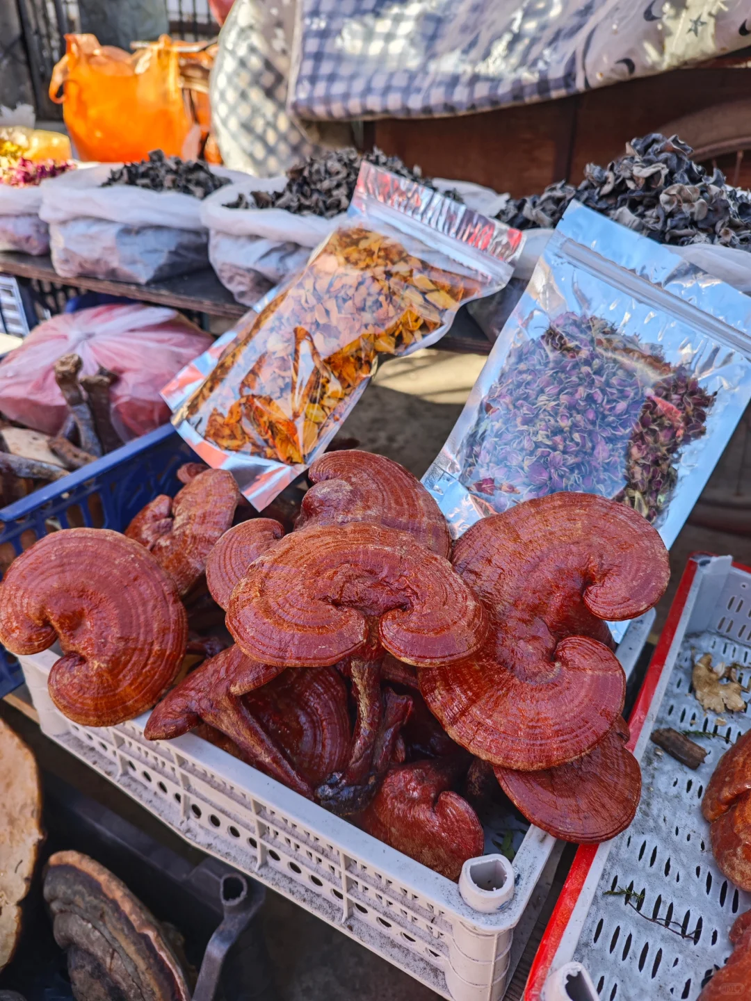 根河早市可以买什么