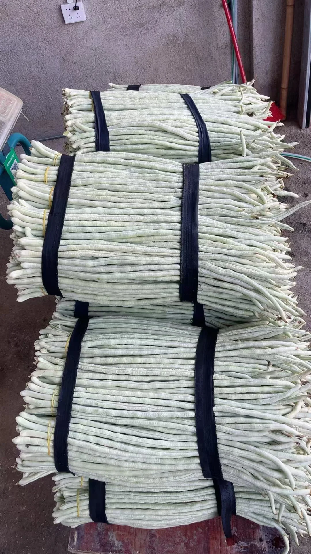 重生之90后辞职创业搞蔬菜批发?