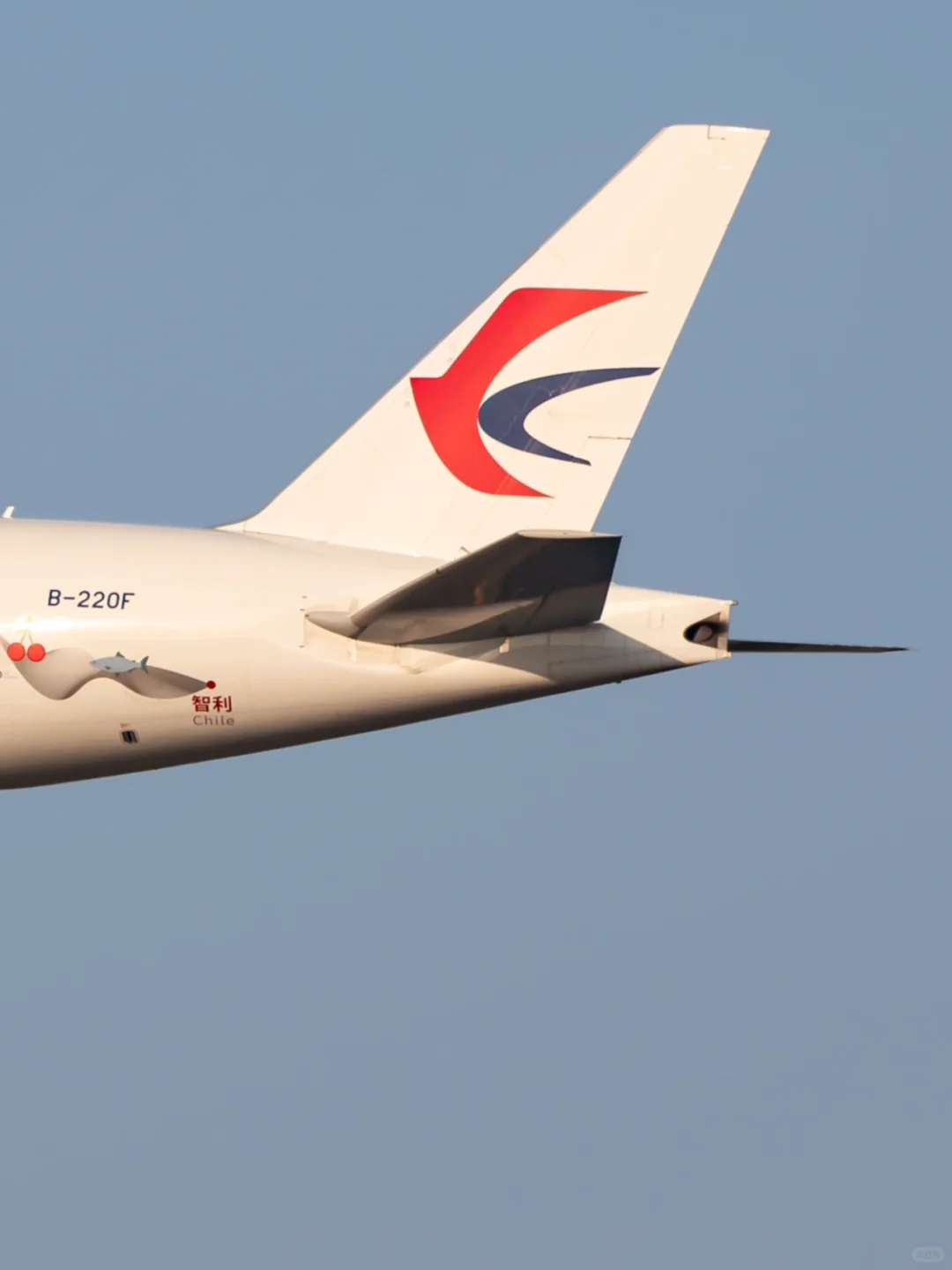 2014-2024|南美生鲜快运十周年