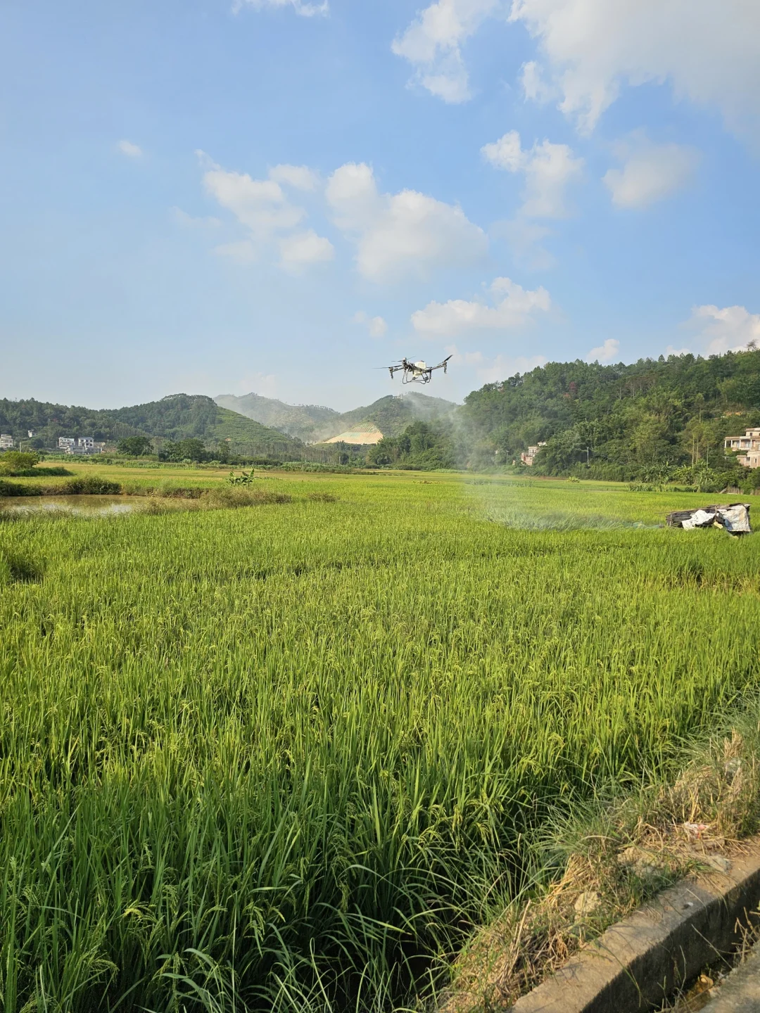 这个飞机真帅！