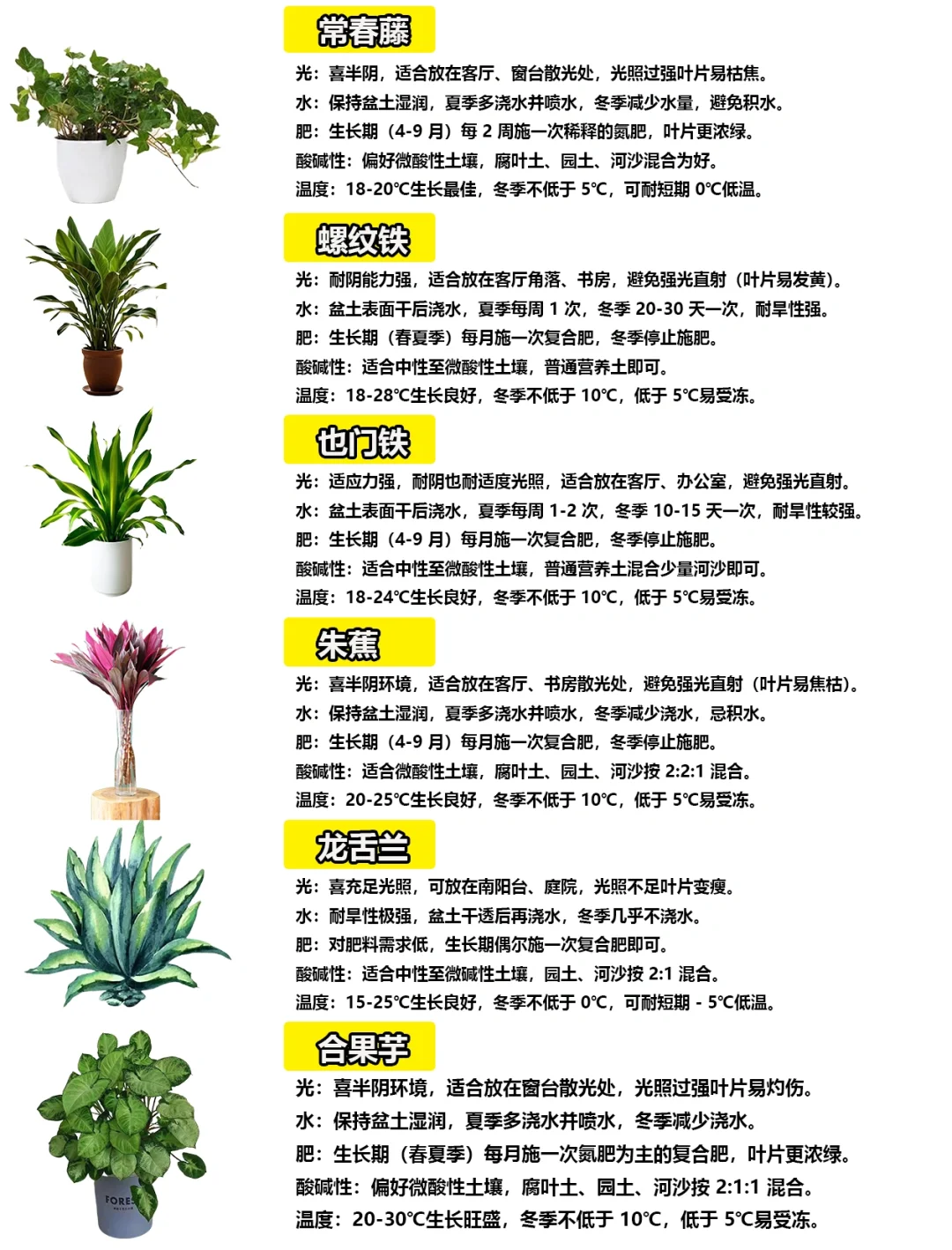 108种绿植花卉养护手册大全