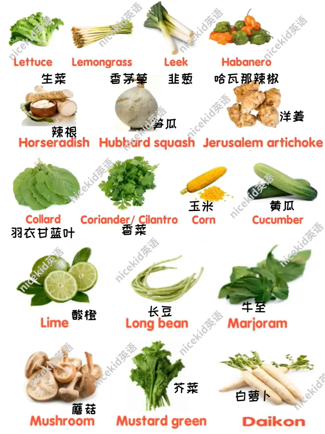 英语启蒙-各种蔬菜相关的英语单词表达集合