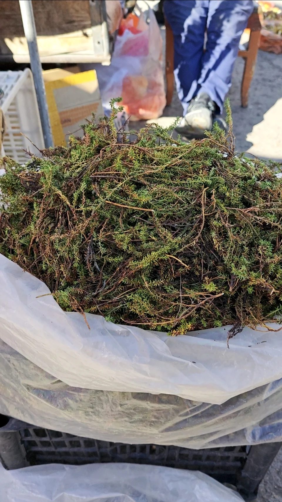 根河早市可以买什么