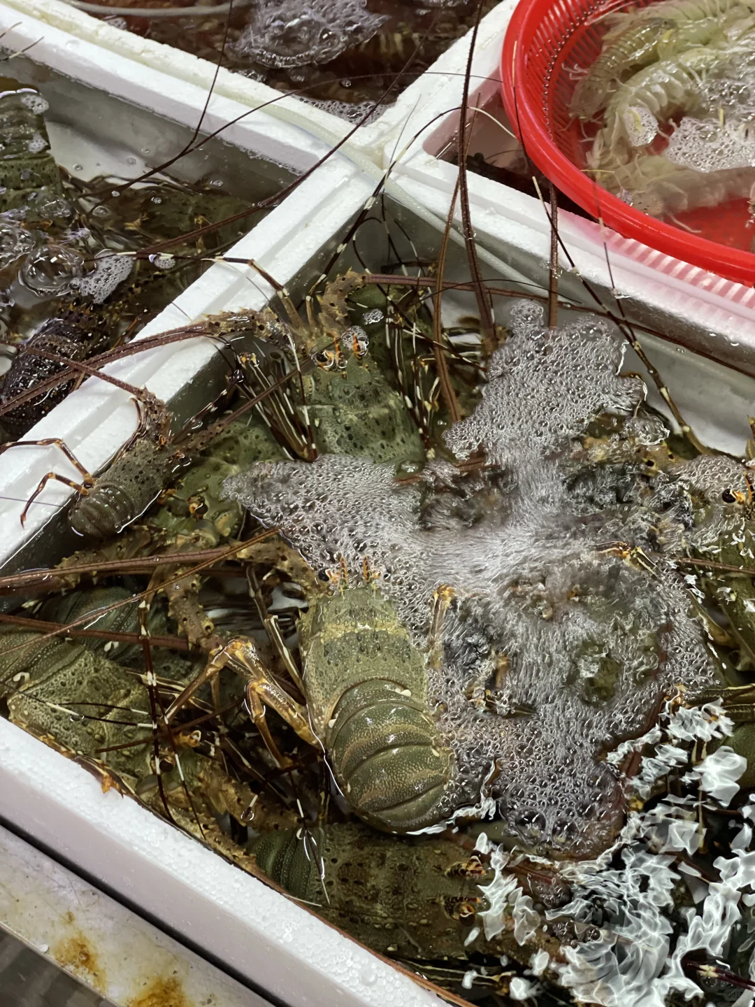 海口海鲜市场现买现加工～每次必打卡