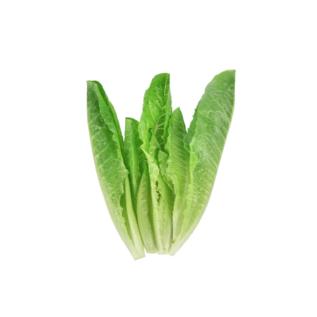 微信/绿色健康的绿叶菜来啦~