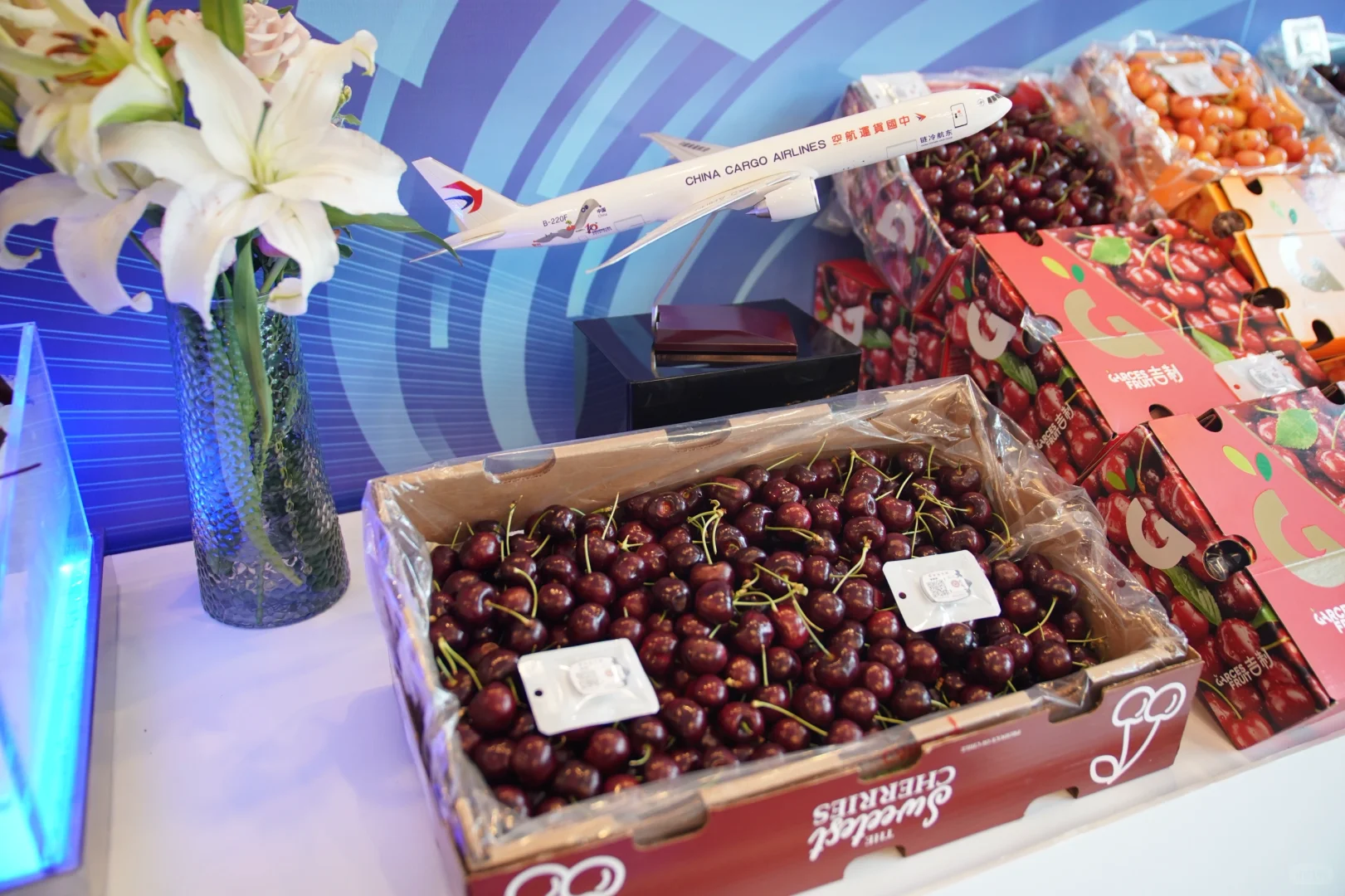 东航物流创新高