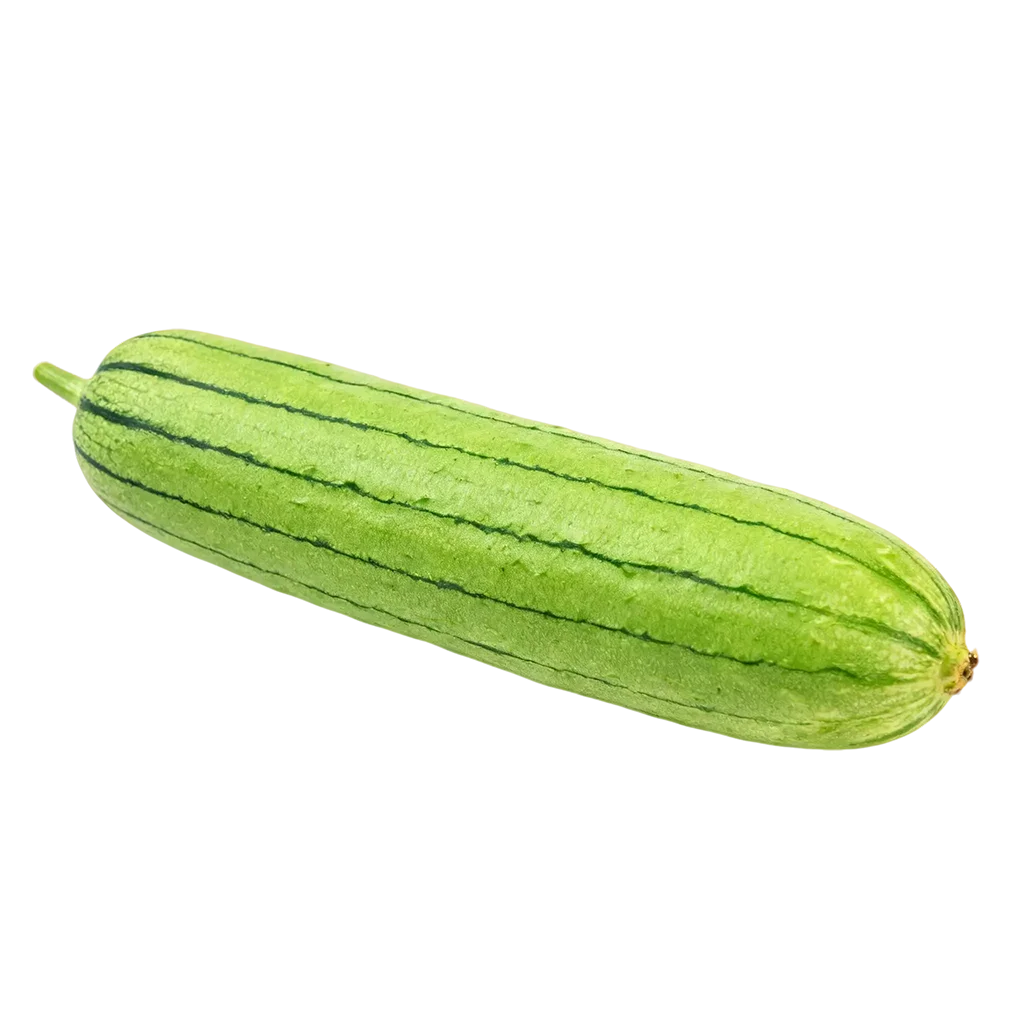 瓜类蔬菜图标，有没有出现过在你的餐桌上嘞