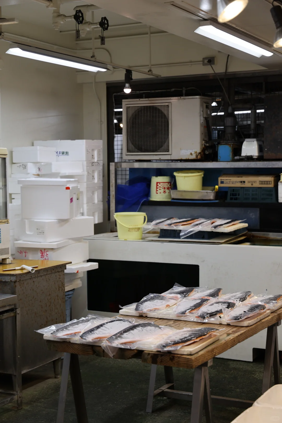 ??横滨 | 飞机一落地直奔早晨的鱼市场