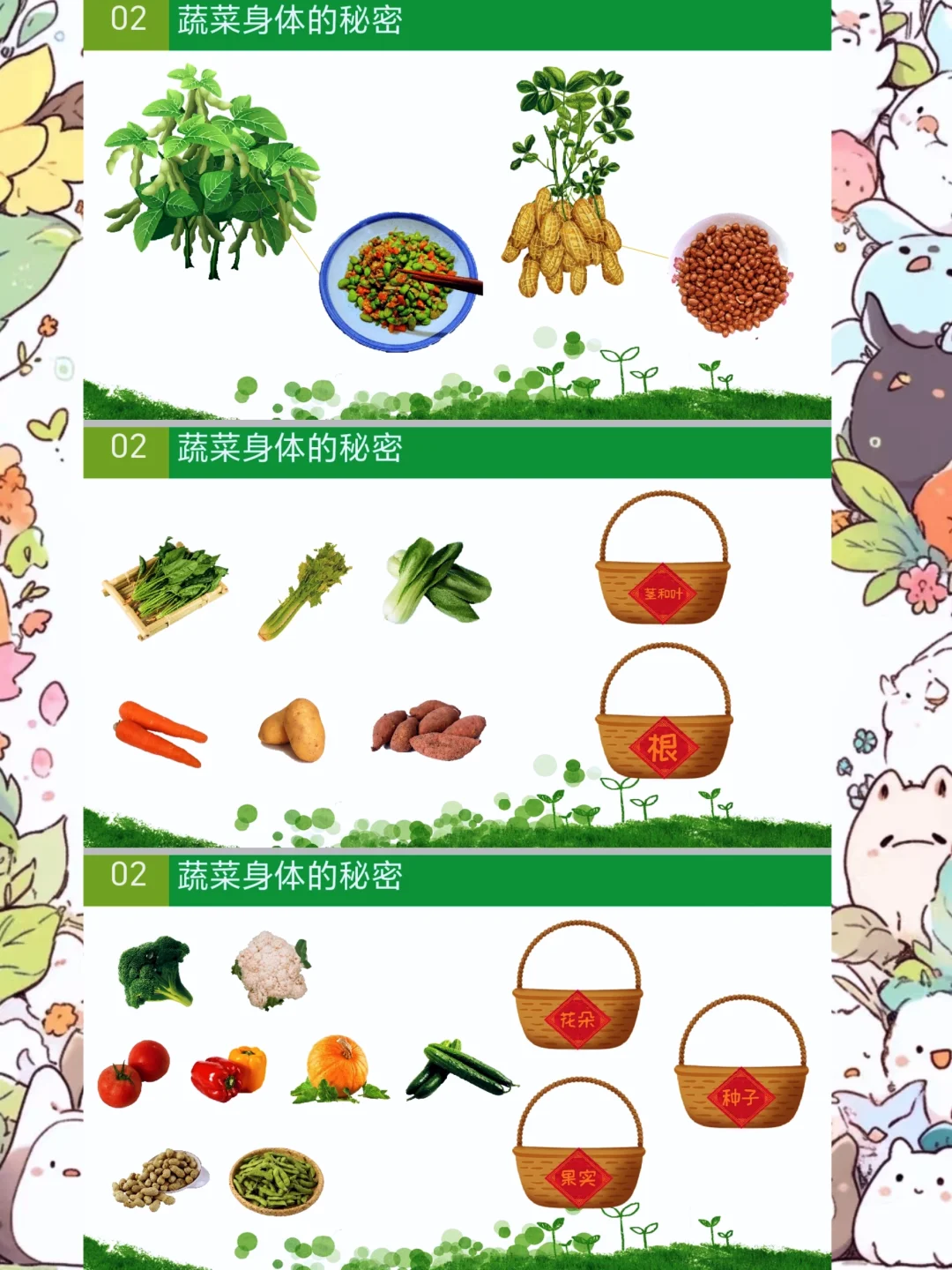 幼师必备，中班科学健康《认识蔬菜》