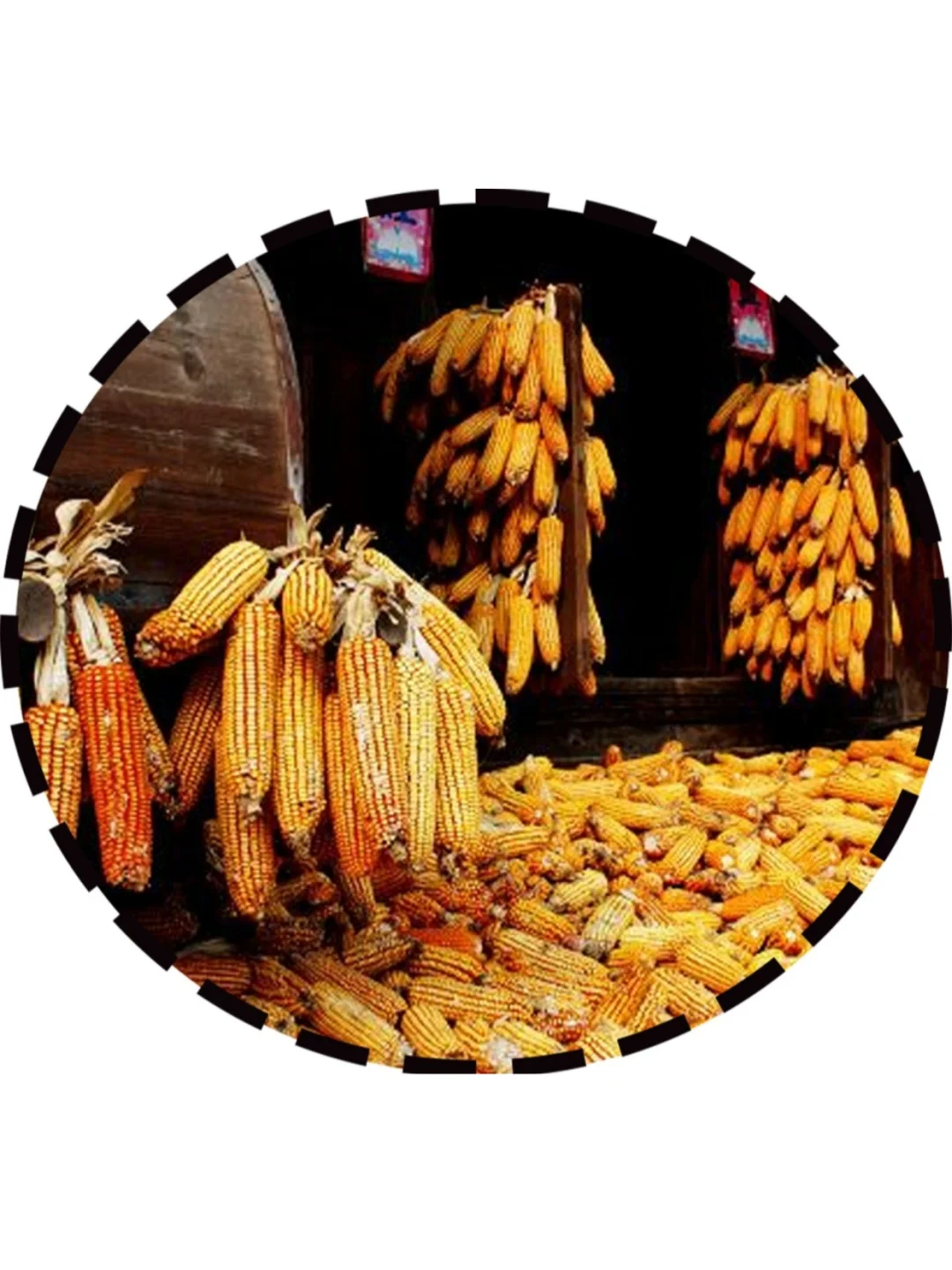 ?幼儿园秋天主题环创，?可直接打印！