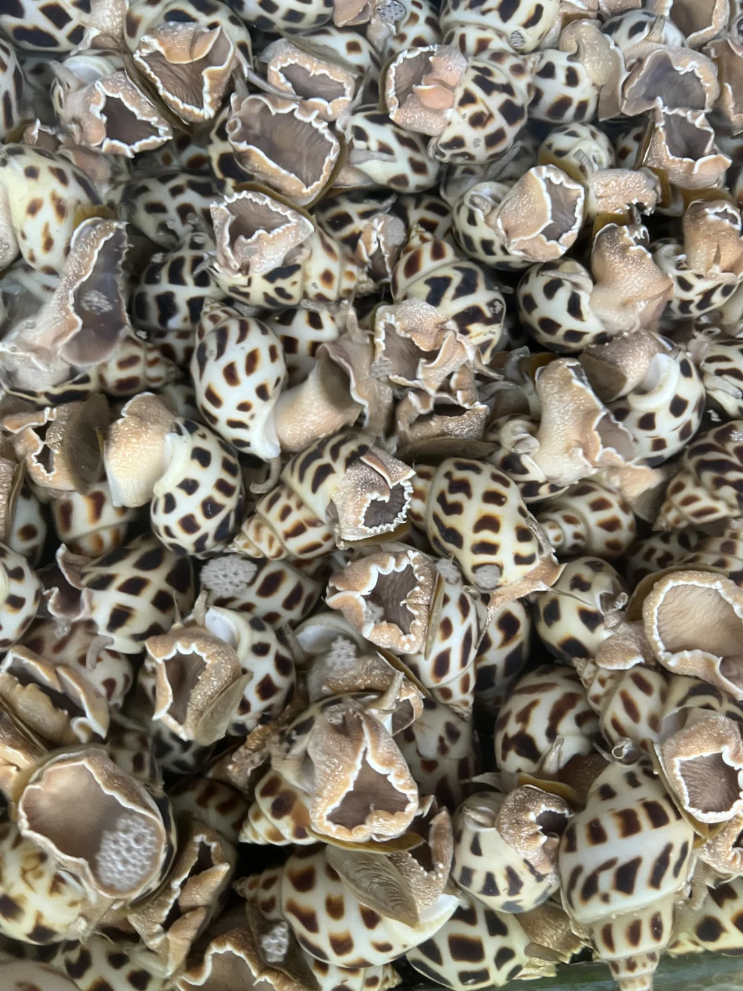 ? 上海江阳市场24h逛吃攻略