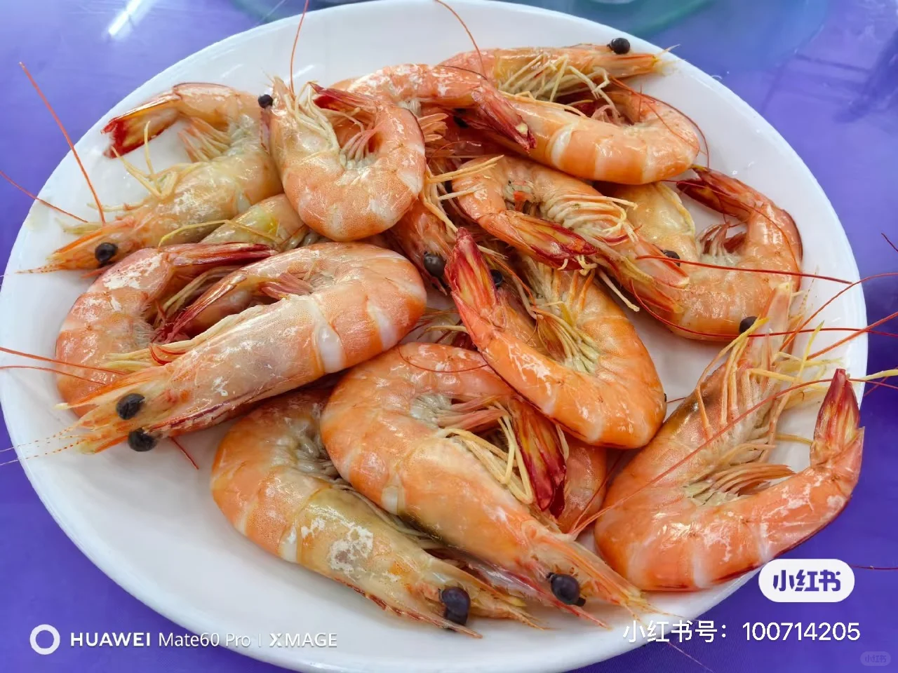 11.16海鲜实时报价→市场买海鲜饭店加工攻略