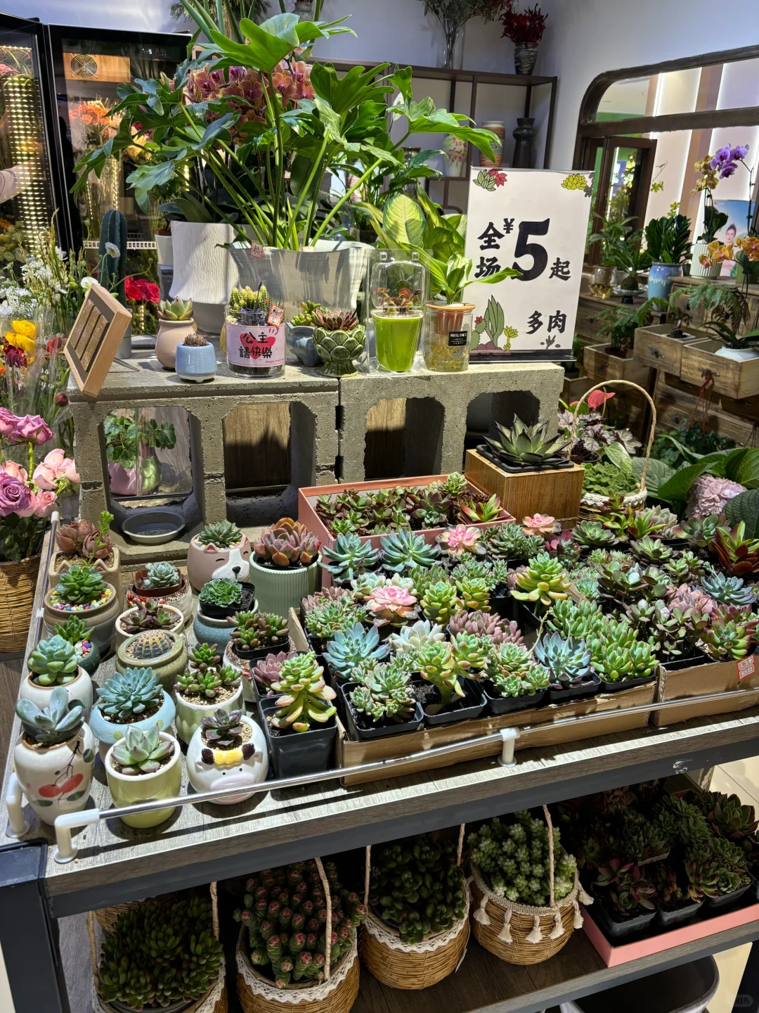 藏着闹市区的植物花园(天一城超市入口)