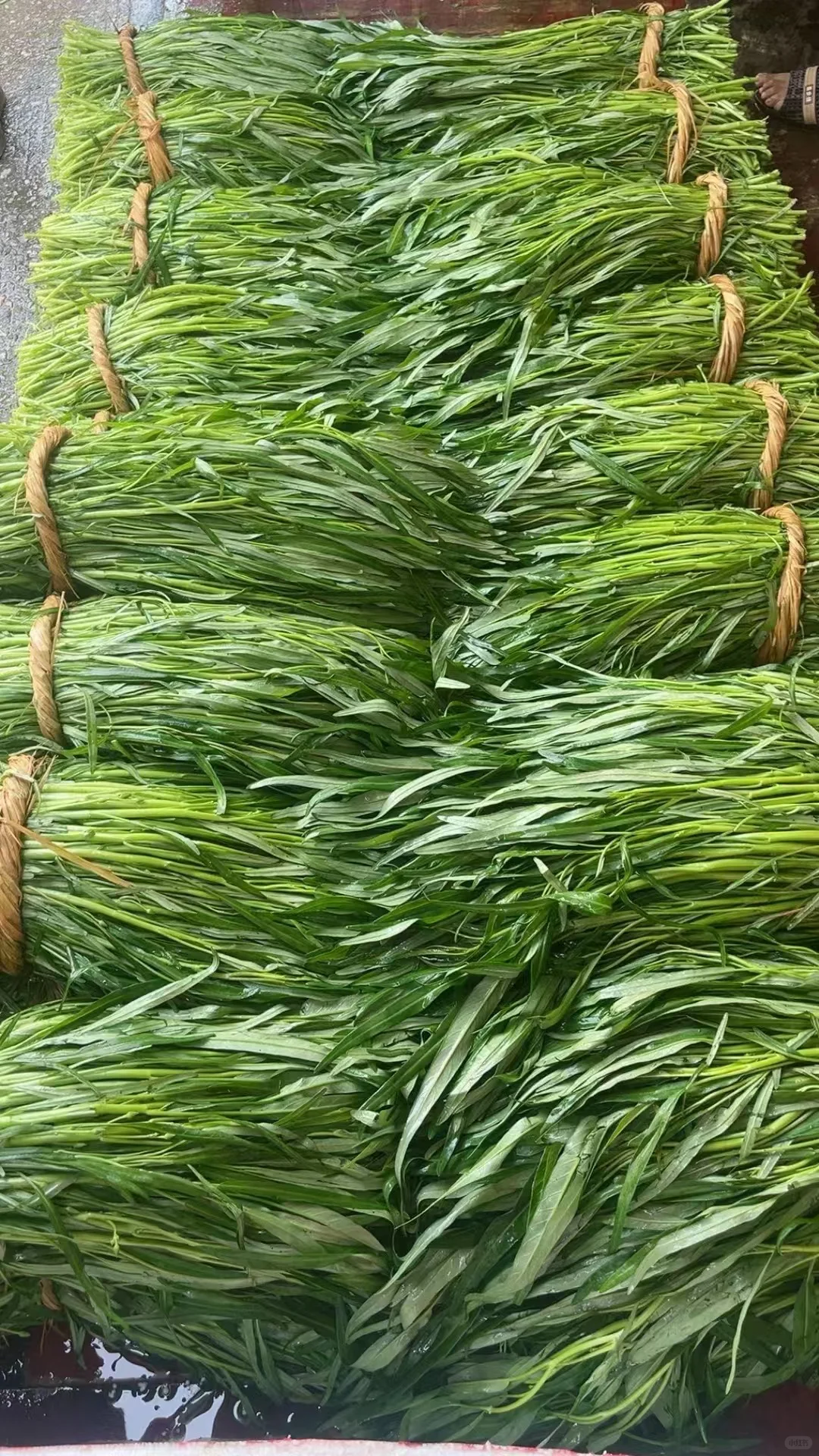 重生之90后辞职创业搞蔬菜批发?