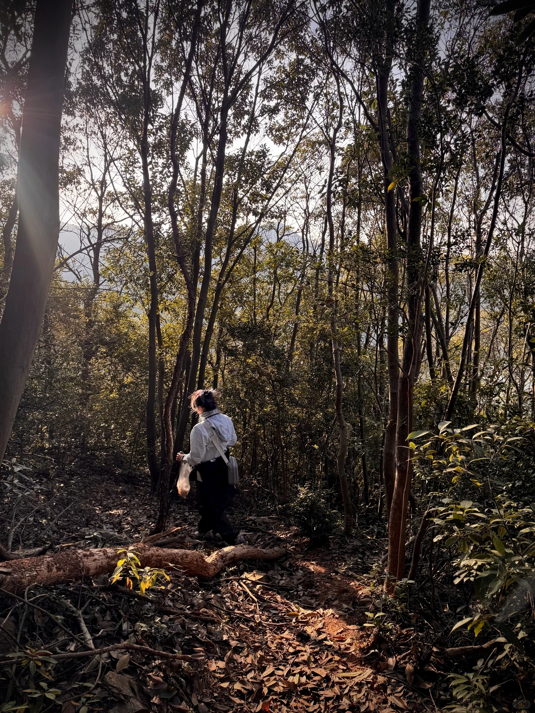 上虞降温首爬 | 梁祝古道环线秋意浓浓?