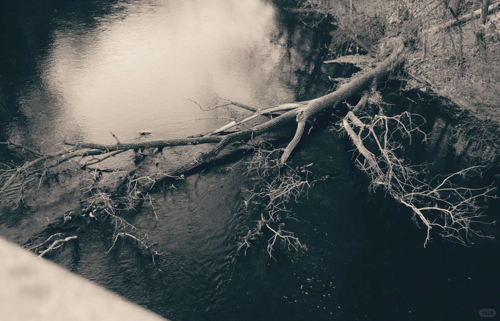 ?安娜堡拍腻了于是去了Ypsilanti