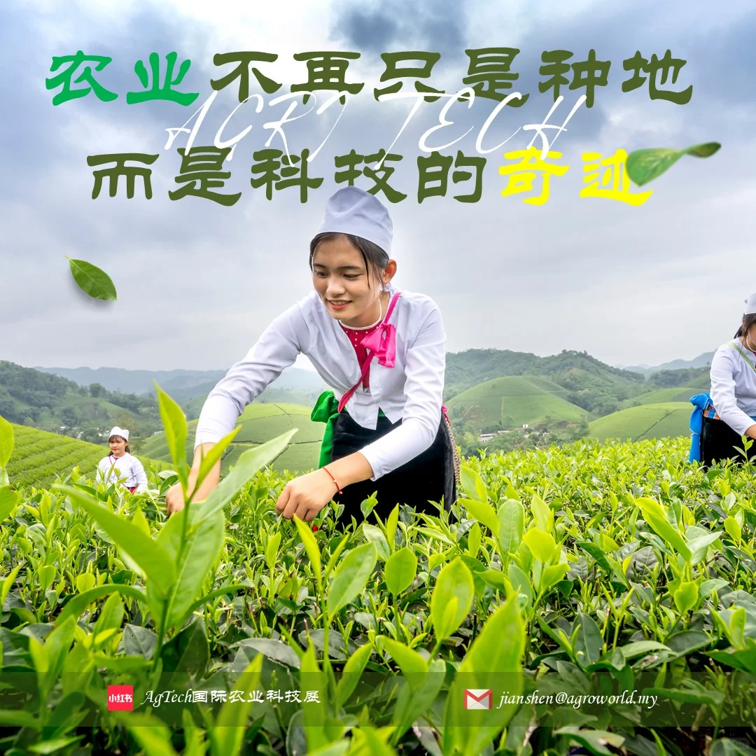 农业不再只是“种地”,而是科技的奇迹!