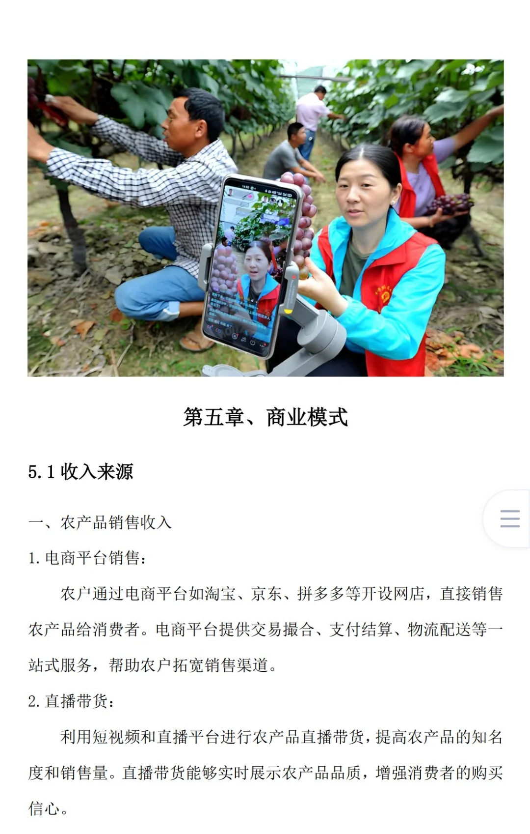 乡村振兴《农村电商扶贫项目》创业计划书