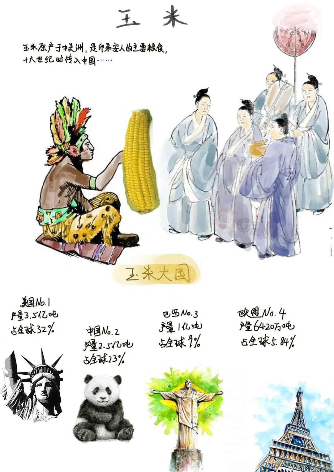 玉米的一些小知识