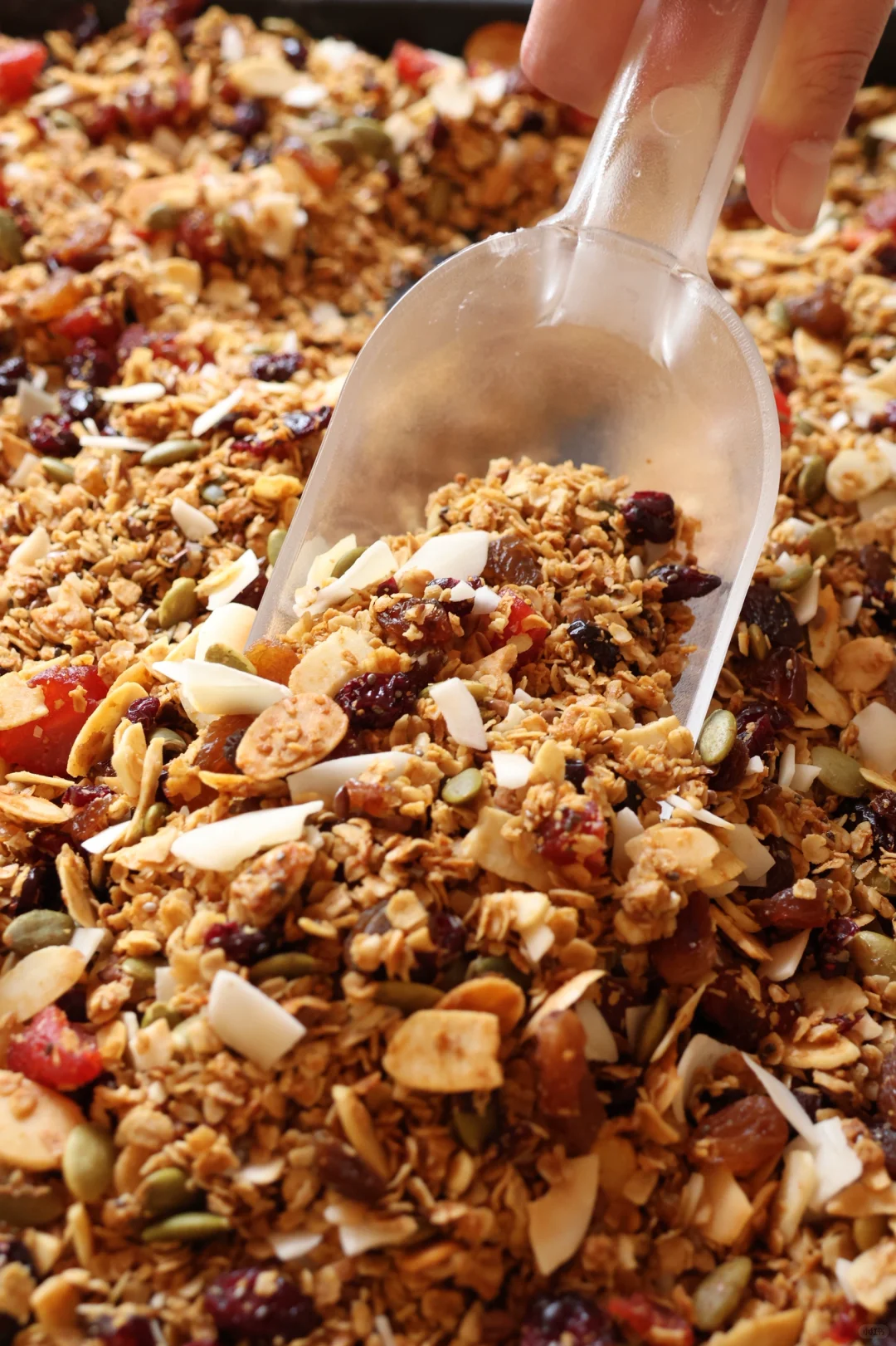 夏日上新☀️手工烘烤燕麦❗️❗️