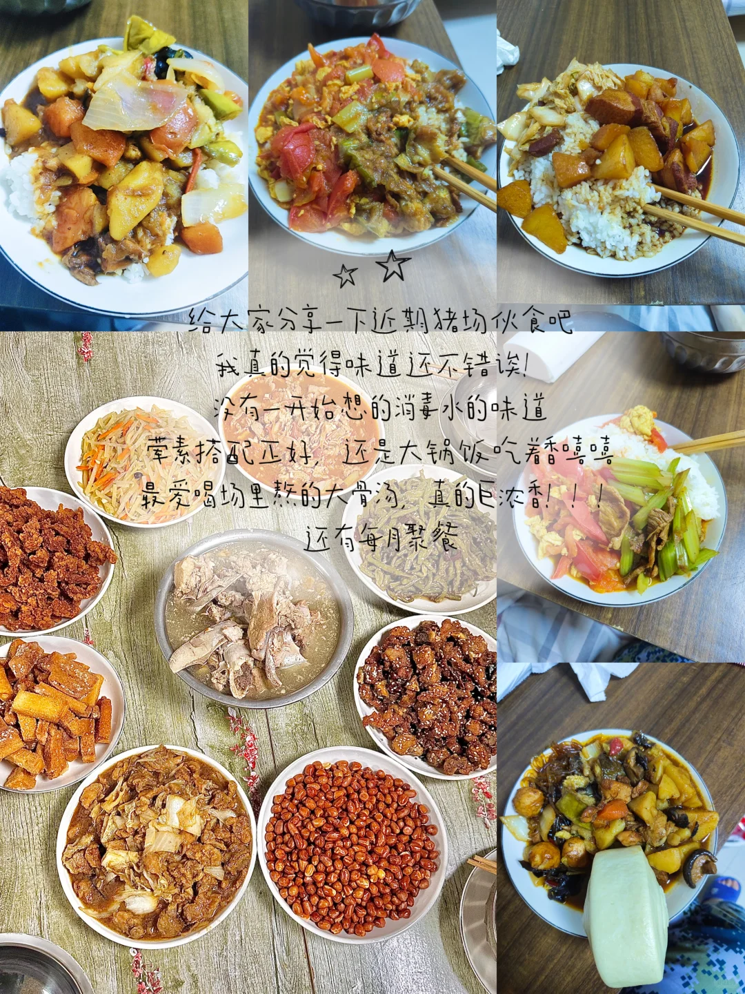 23在读女大|在猪场实习的两个月