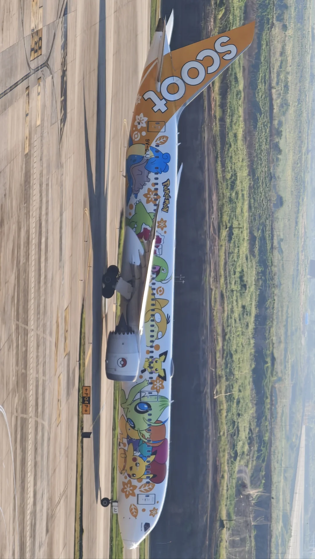 解锁禄口机场宽体机全部机型