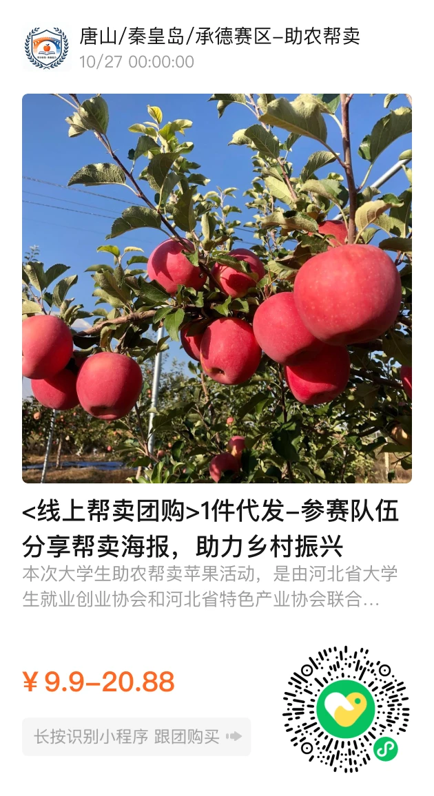 乡村振兴大学生在行动！！