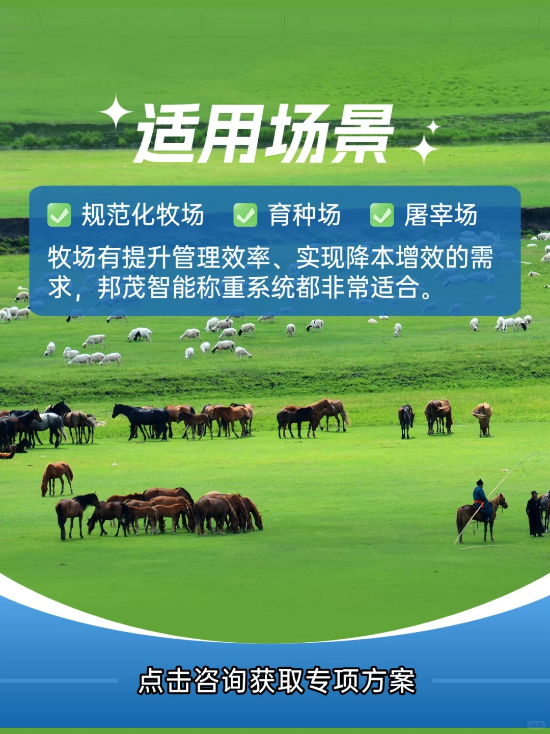 科技牧场 | 智能称重分群,效率安全双提升