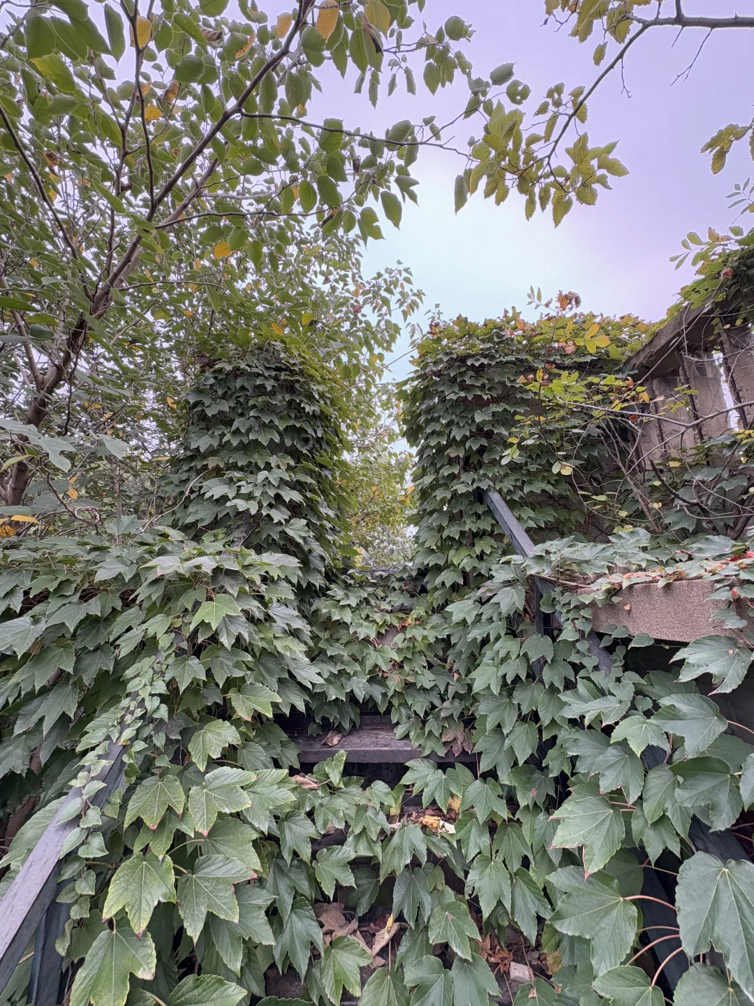 废弃医院里 最恐怖的竟然是。。。