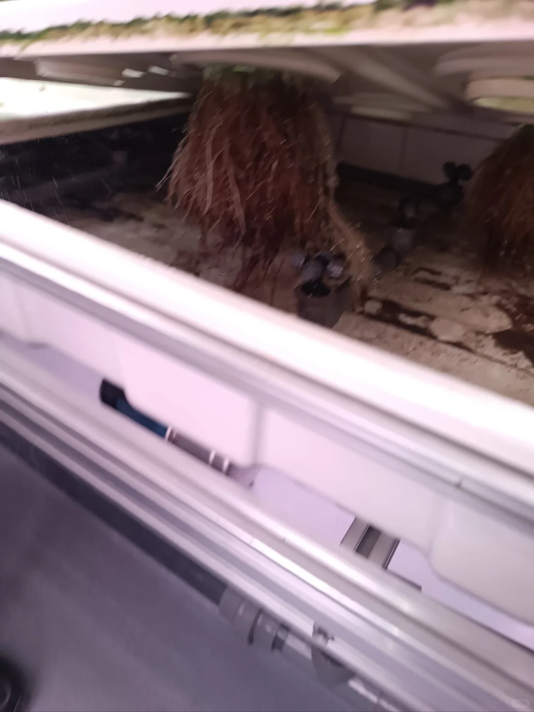 生活中的地理教学素材-四维生态数字农业