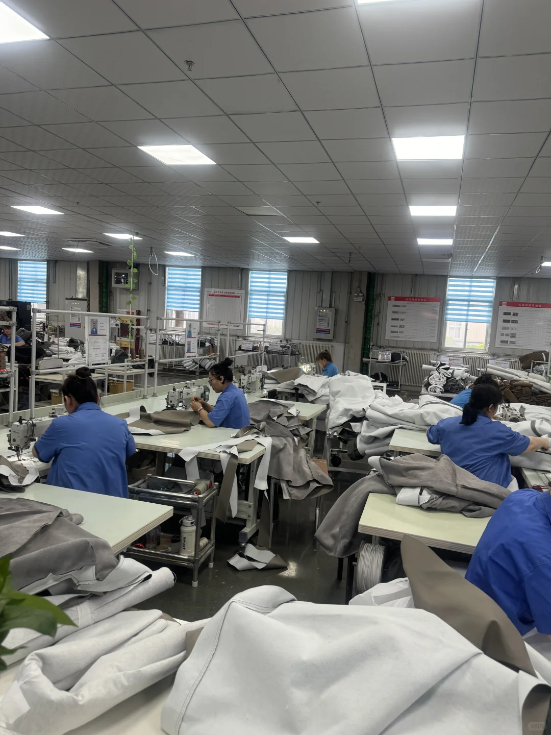 今天带大家走进河北顾家的生产基地