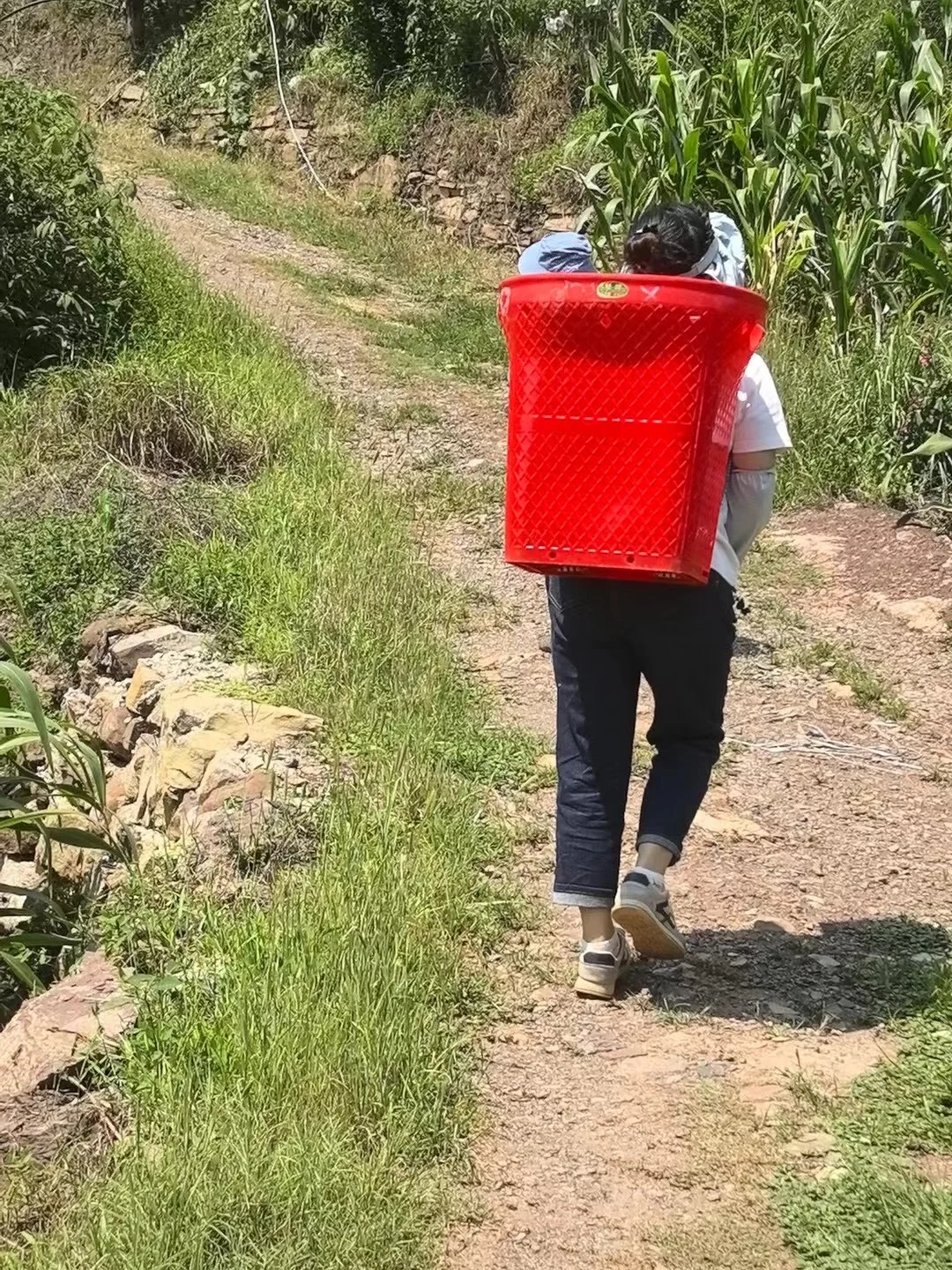 因为爱情，我从广告人转战农业人