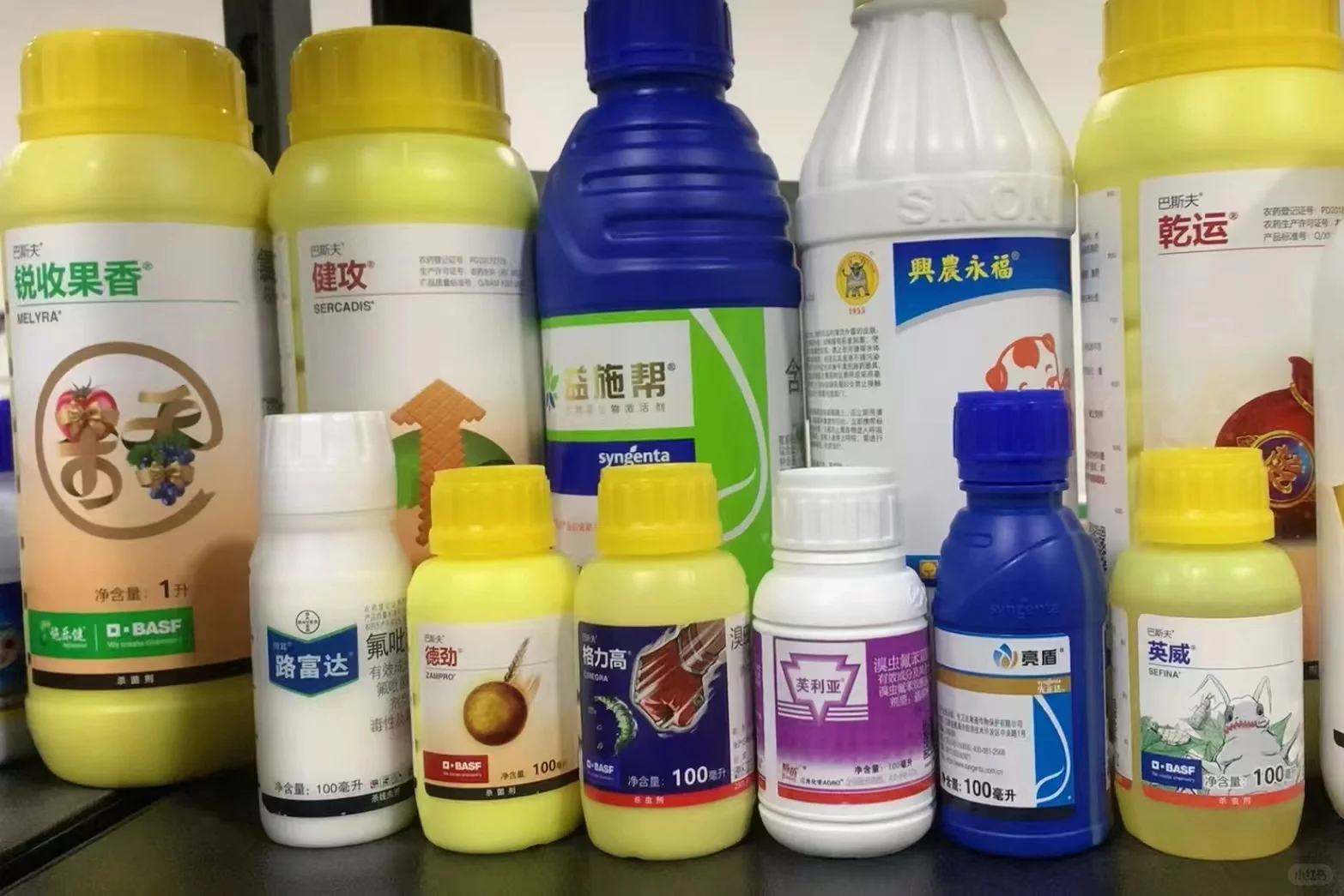 重生之我在网上卖农药