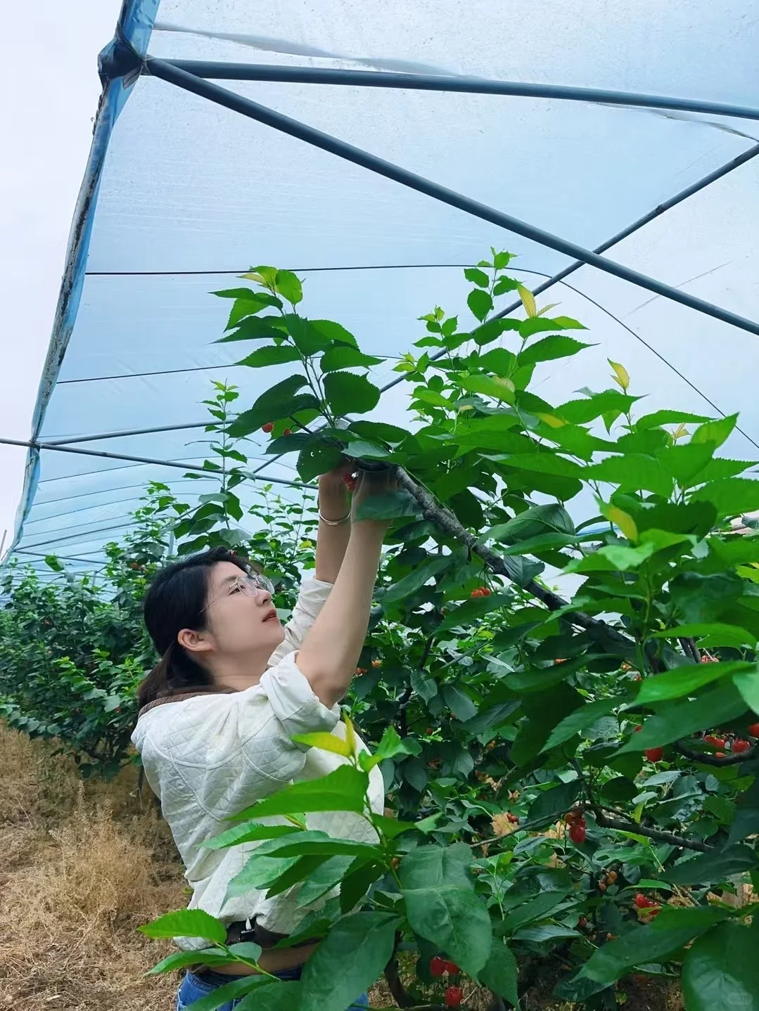 因为爱情，我从广告人转战农业人