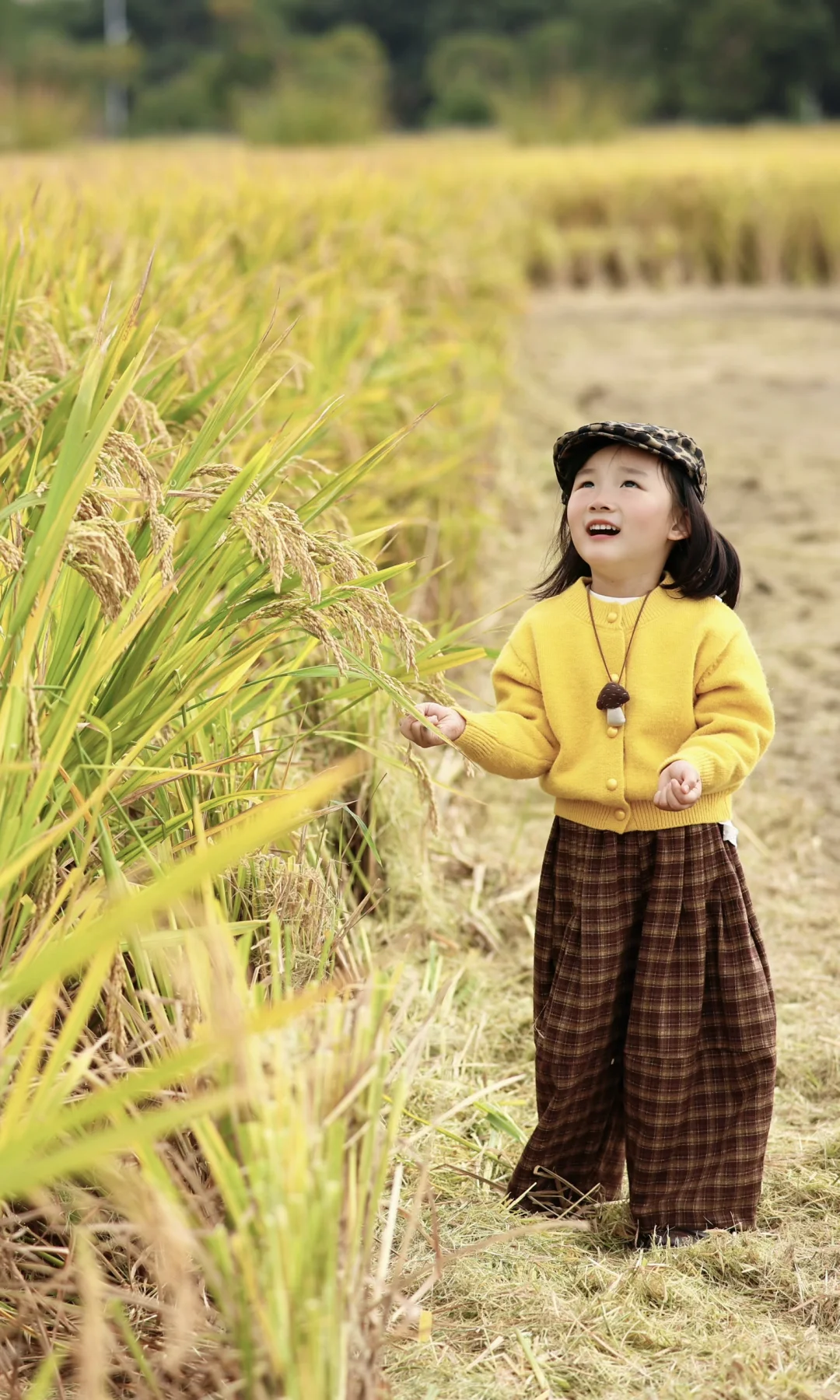 杭州稻田遛娃拍出电影感!娃的红脸蛋全靠它!