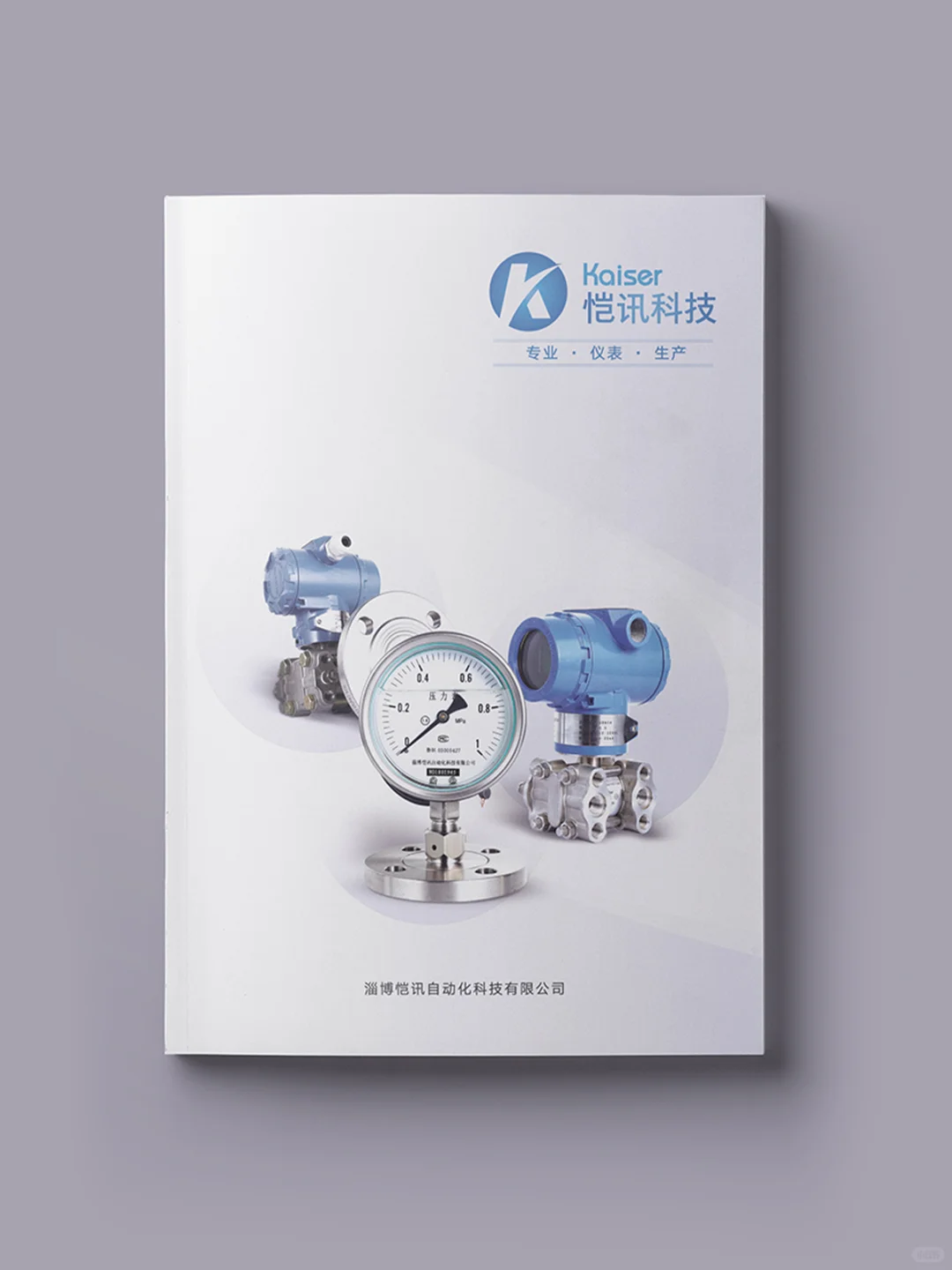 山东淄博——仪器仪表宣传手册设计